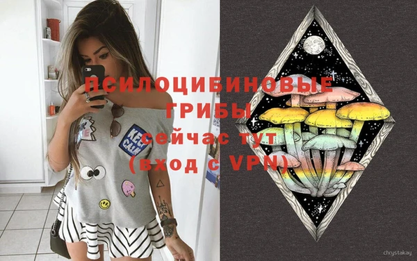 2c-b Белоозёрский