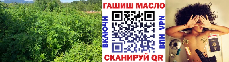 Купить где  Пермь  ТГК THC oil 